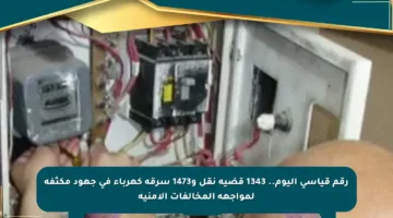 رقم قياسي اليوم.. 1343 قضية نقل و1473 سرقة كهرباء في جهود مكثفة لمواجهة المخالفات الأمنية